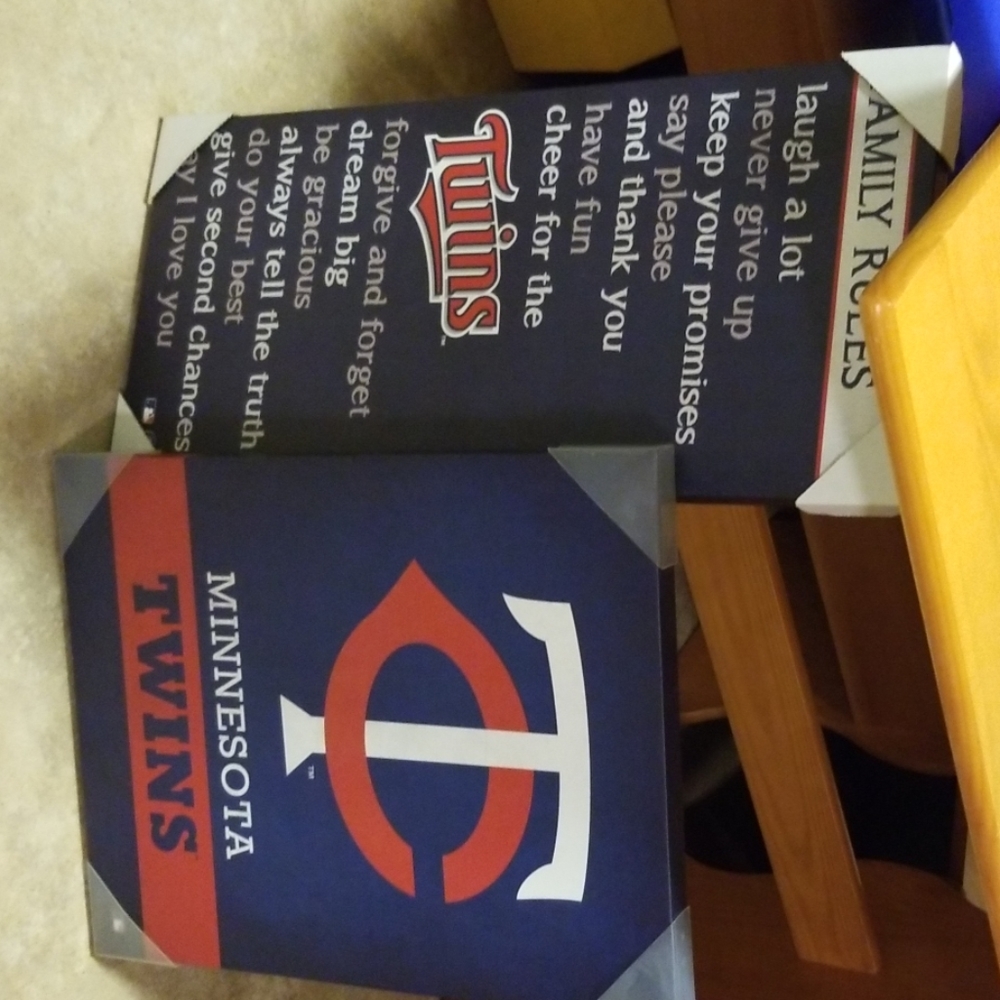 Mn twins wall decor